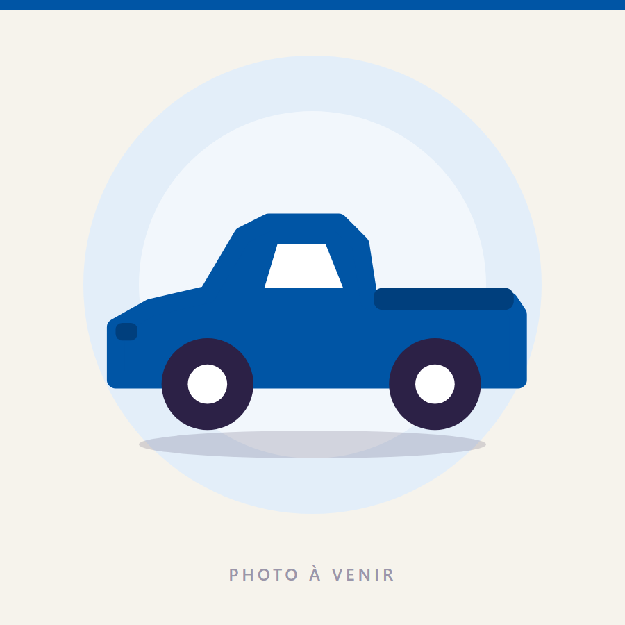 Pick-up d'occasion (exemple)